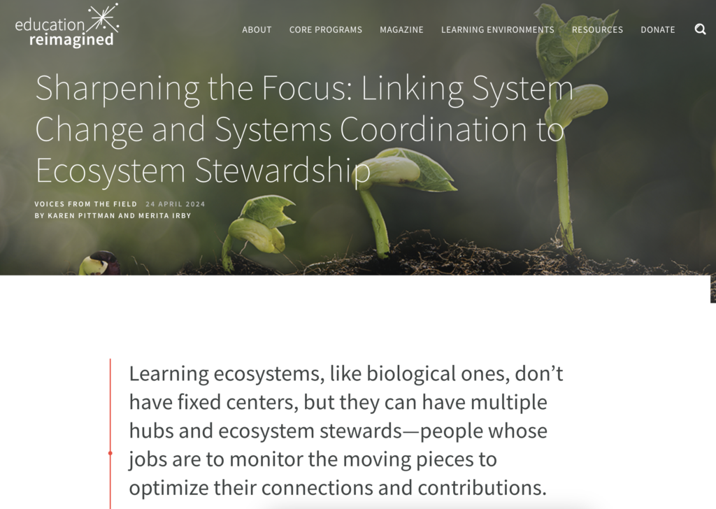 Sharpening the Focus: Linking System Change and Systems Coordination to Ecosystem Stewardship